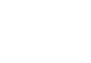 RiptLogo white