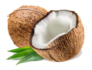 coconutoil